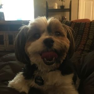 Meet your Posher, Wendy